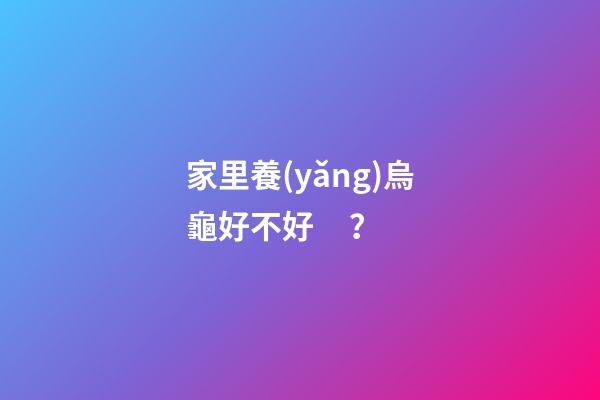 家里養(yǎng)烏龜好不好？